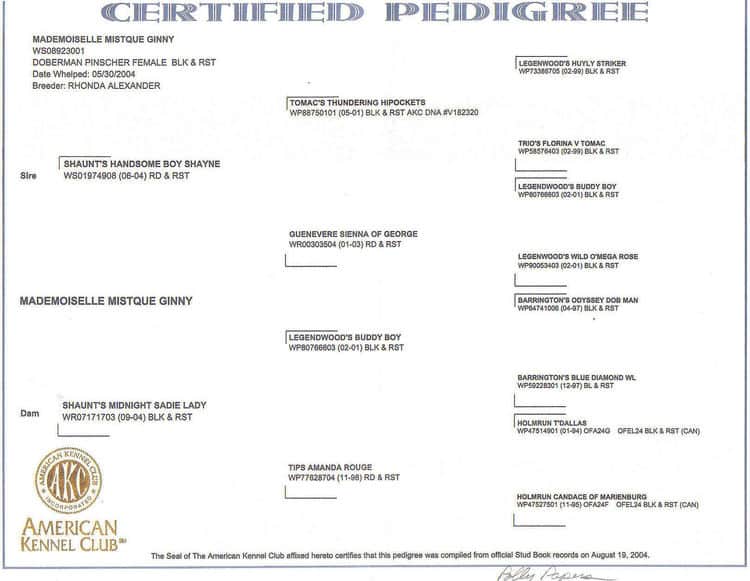 Doberman Pinscher Pedigree