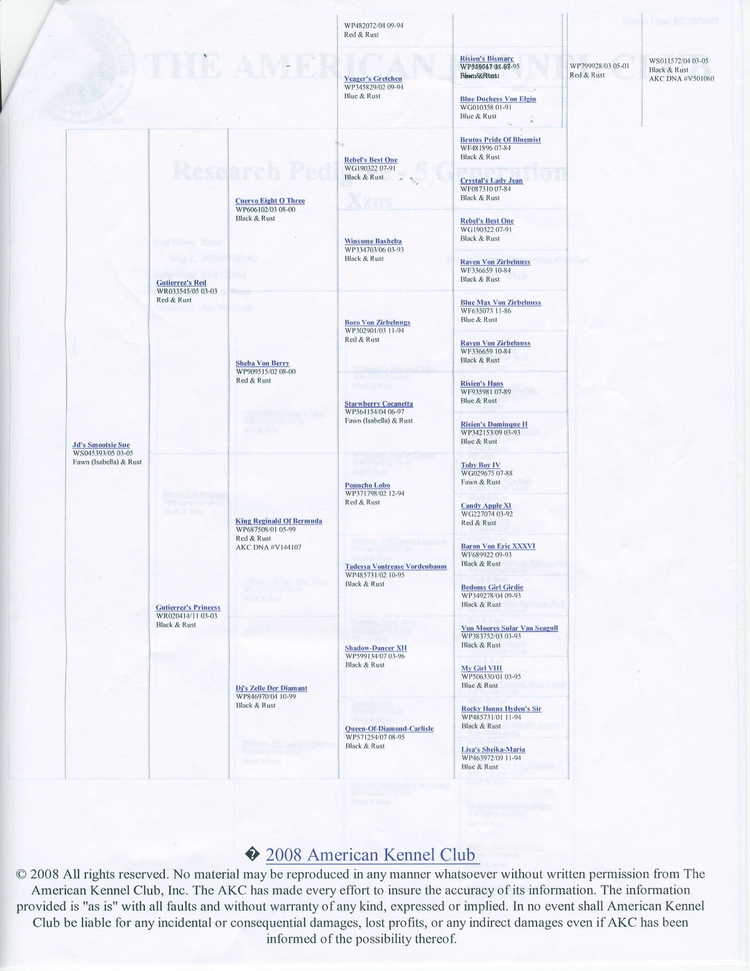 doberman sire's pedigree - Xzus