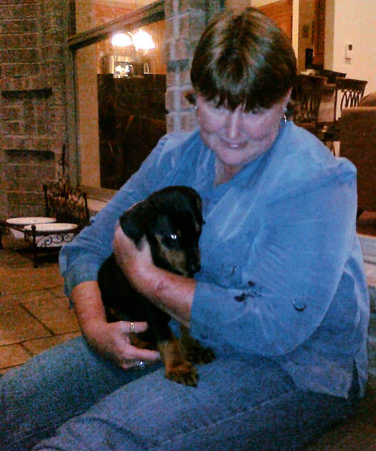 black and rust boy dobie pup