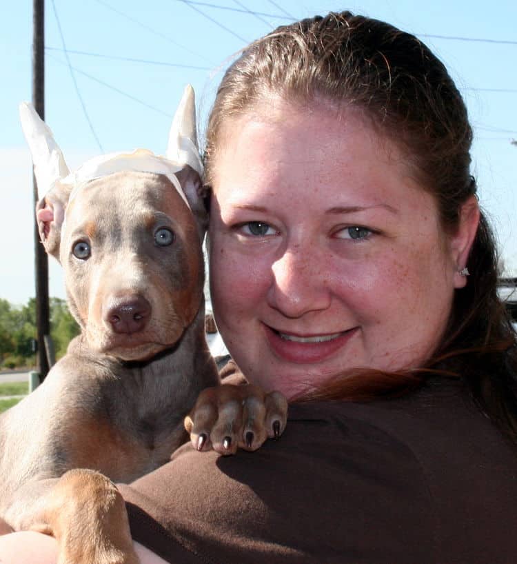 fawn dobe pup