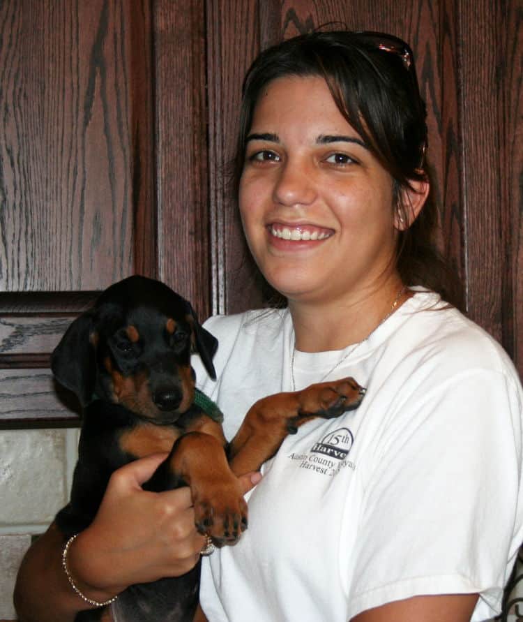 doberman puppy