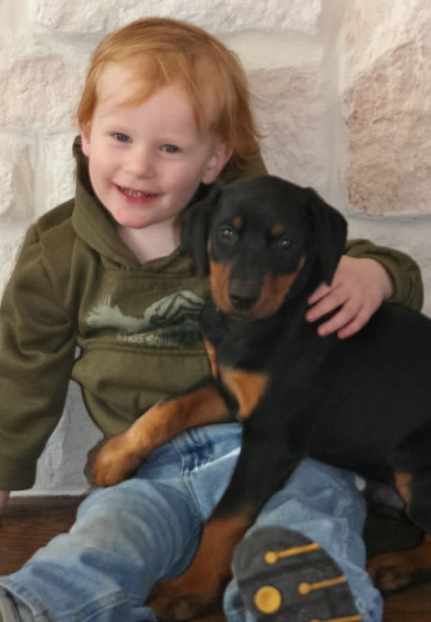 black and rust male dobe pup with new family