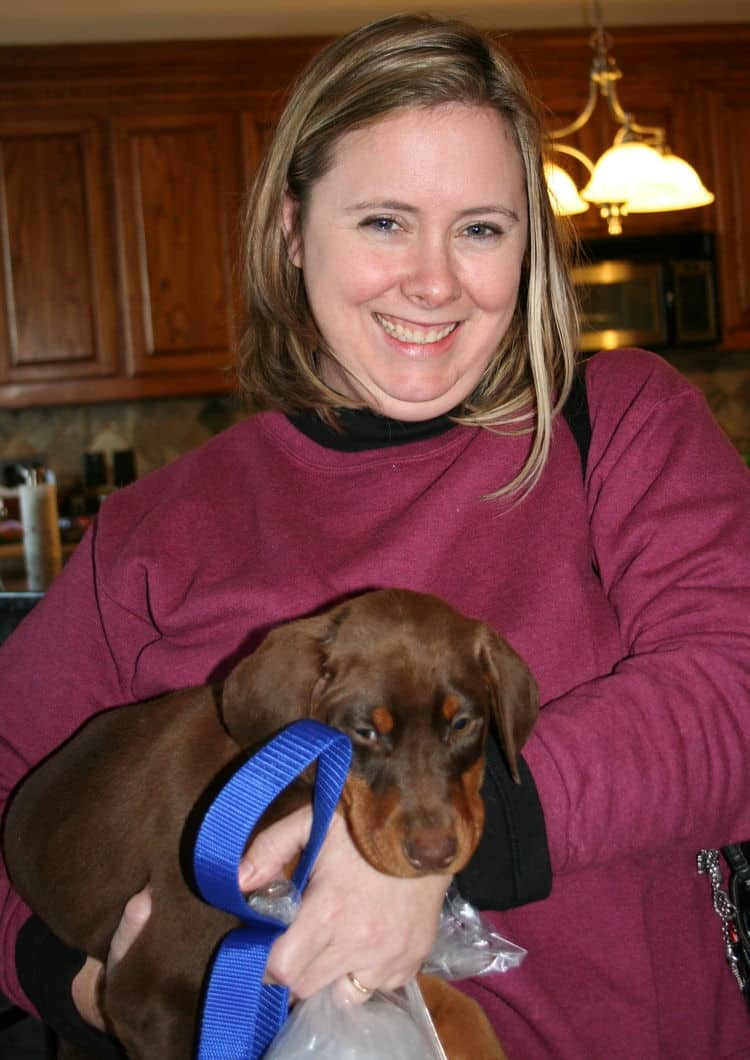 red and rust male dobe pup with new family