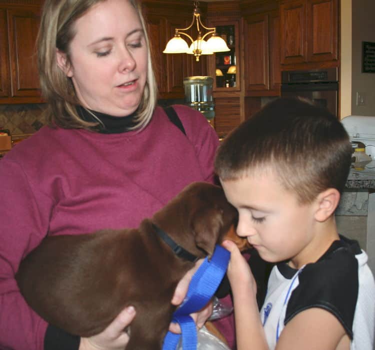 black and rust male dobe pup with new family