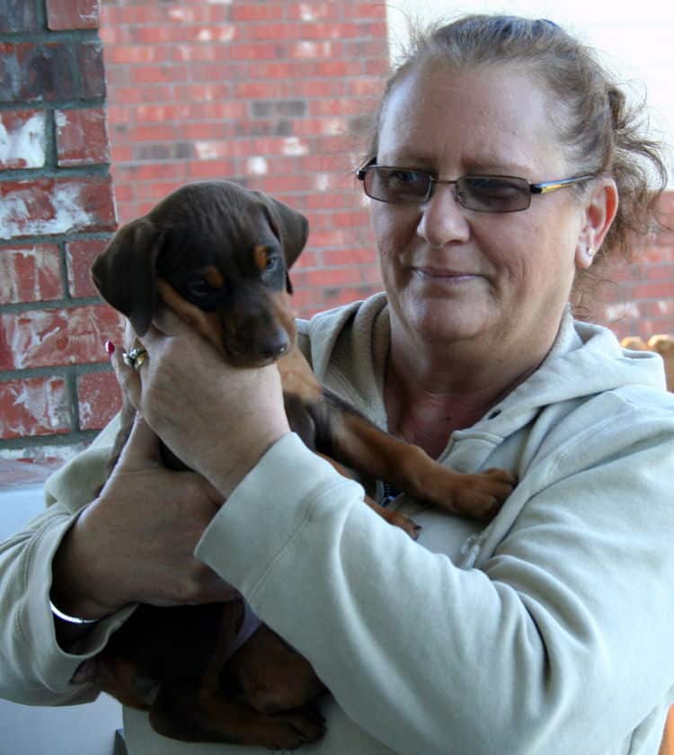 red female dobe pup