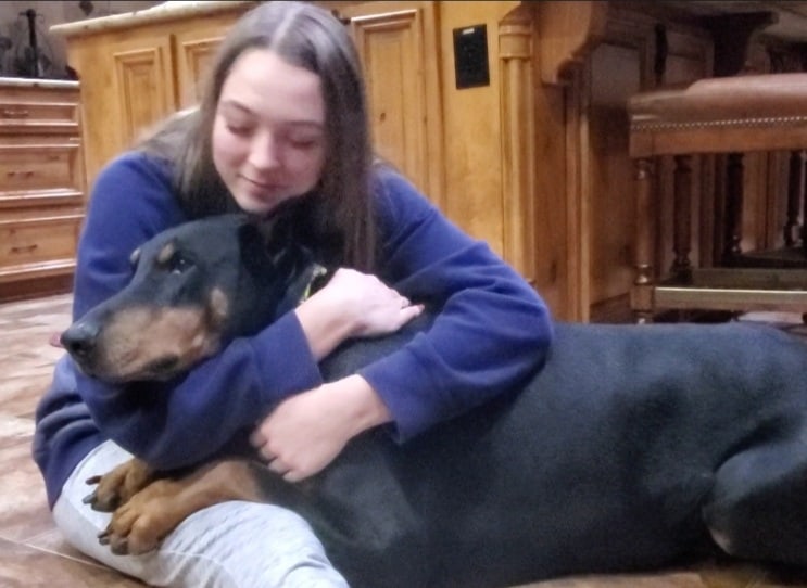 large black rust male doberman in the loving arms of his teenage owner