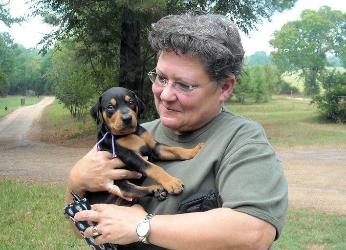 black female doberman pup