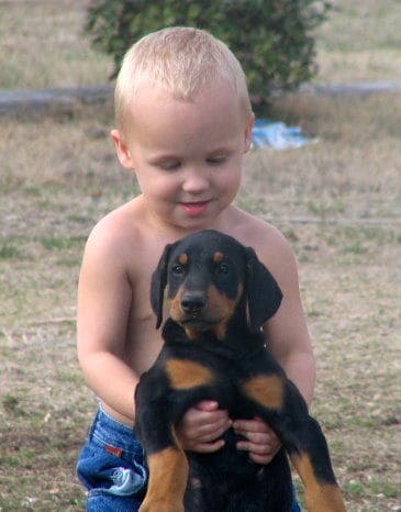 dobe pup