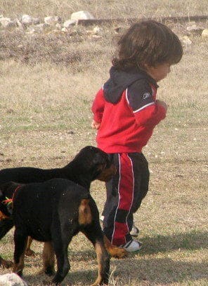 dobe pup children