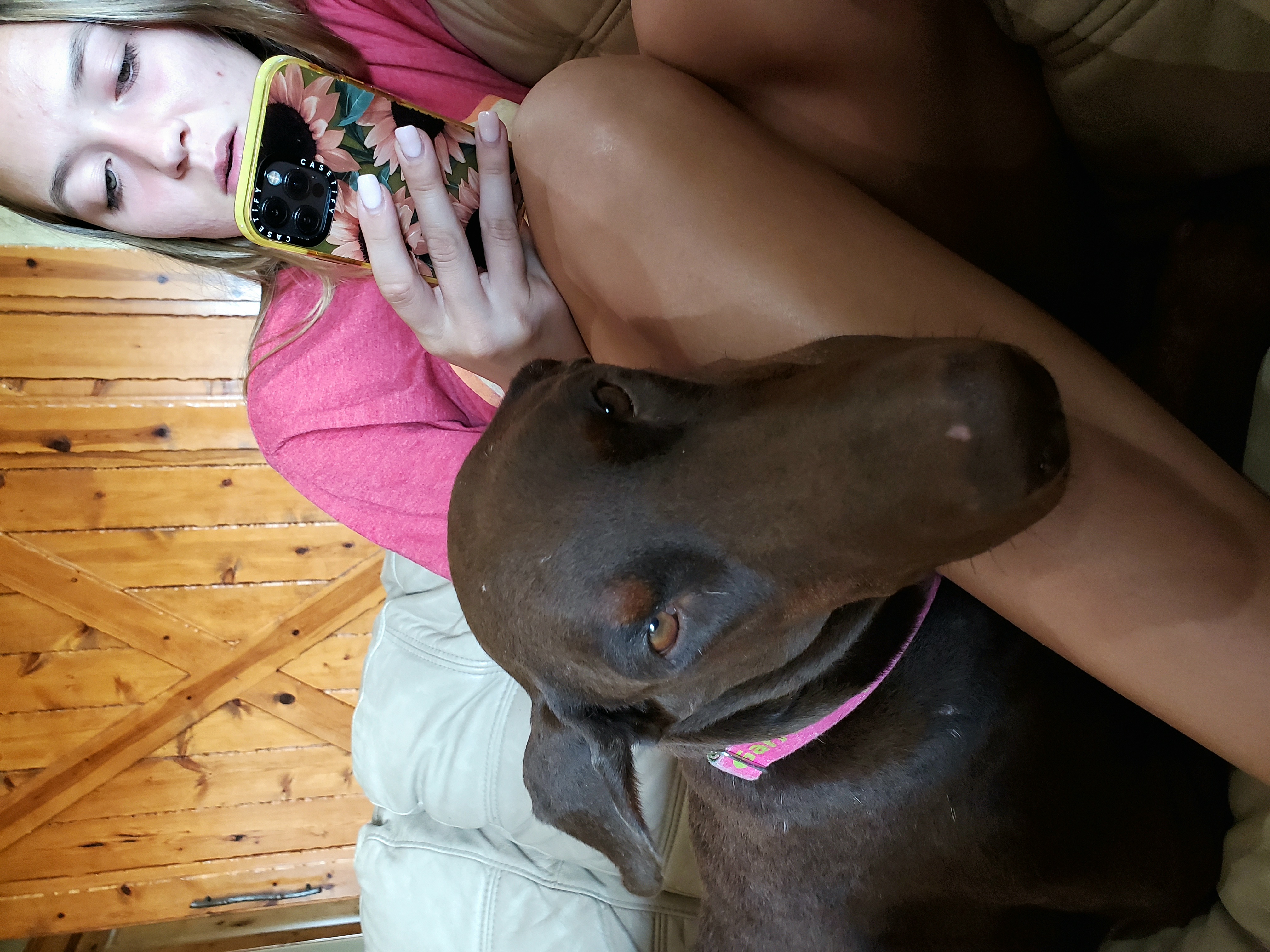 Red rust female doberman with her human buddy
