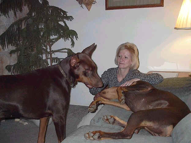 red rust dobermans