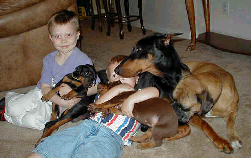 doberman Pictures with the children