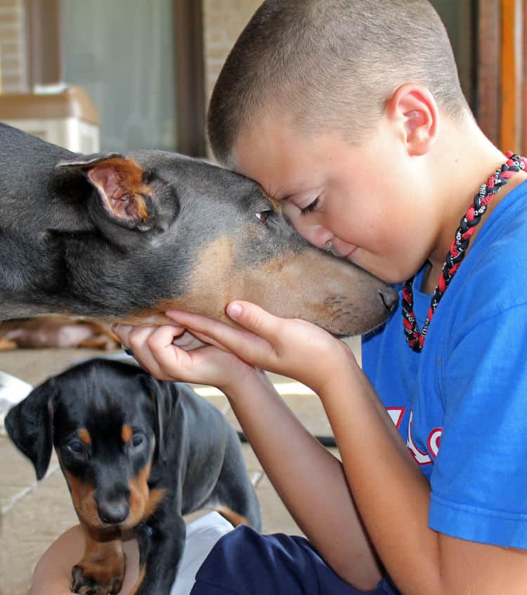 children with doberman puppies