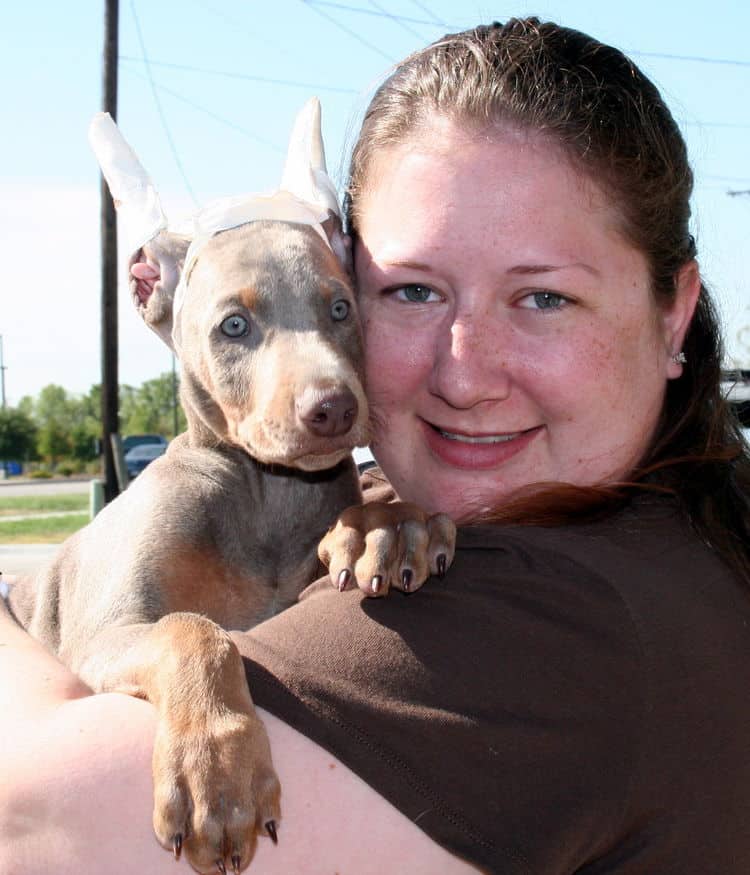 fawn dobe pup