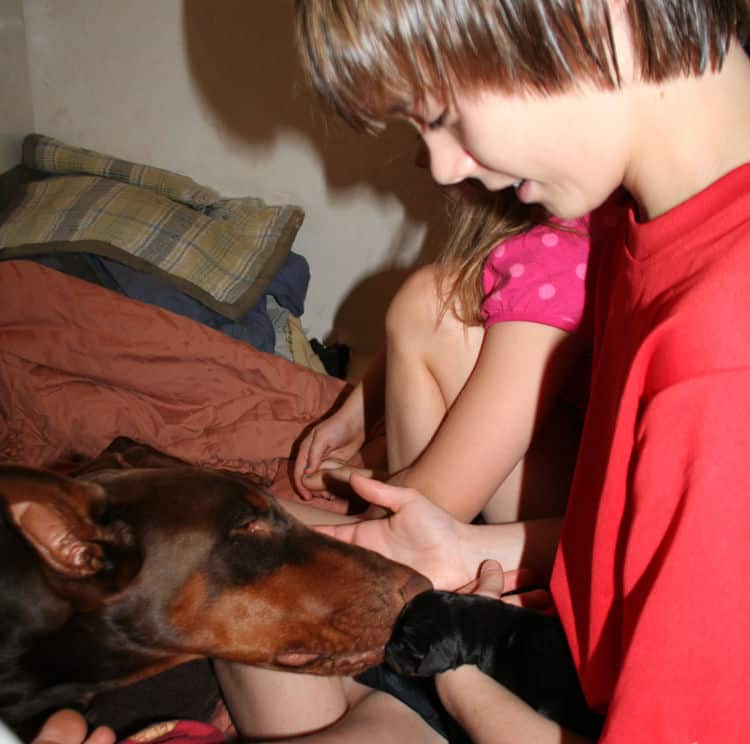 children with doberman puppies