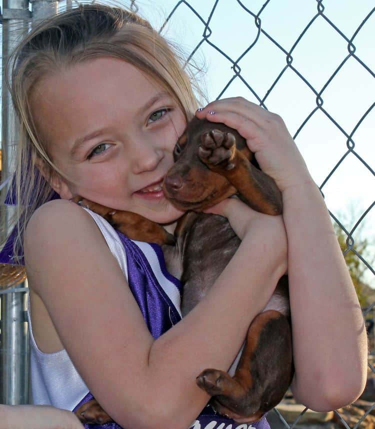 children with doberman puppies