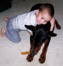 Doberman female with child