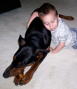 Doberman female with child