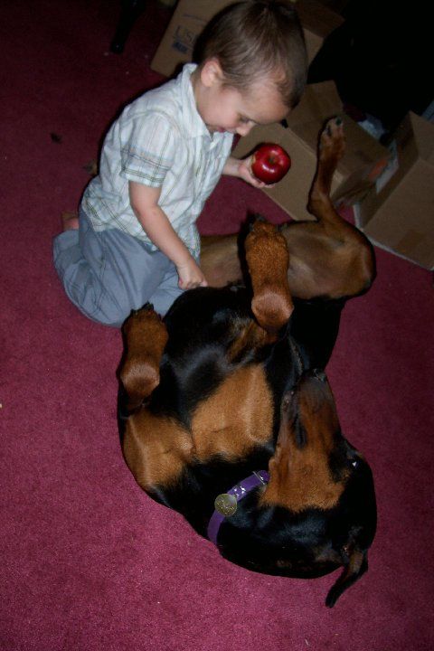 Doberman female with children