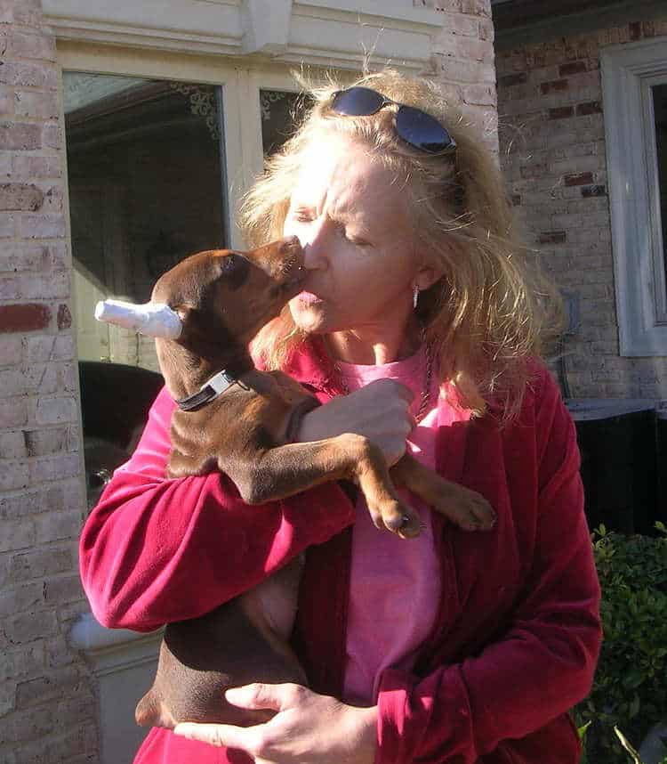 8 week old doberman puppy with owner